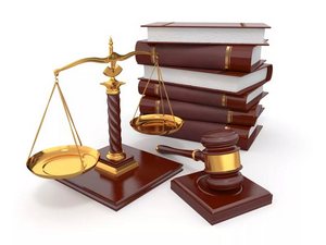 День правовых знании!