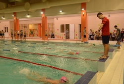 Итоги соревнований по плаванию